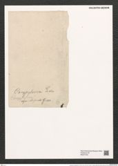 Campylosira cambelliformis (A. Schm.) Grun. (de-Toni-Nr.: Genus 77, Species 2809) Zeichnungen Sammlung Grunow (NHMW-BOT-W0374160)